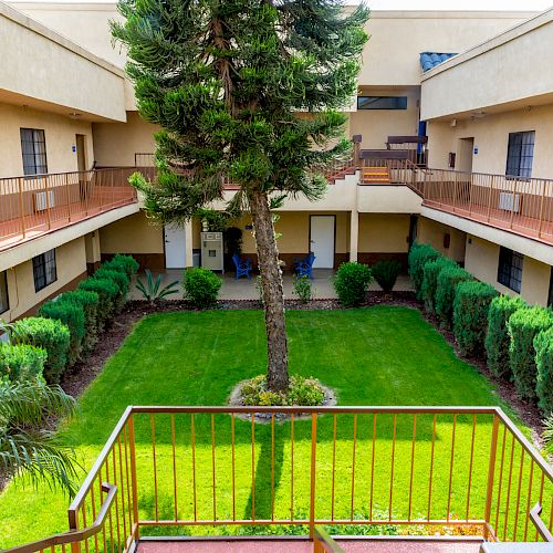 This image shows a courtyard surrounded by two-story buildings with balconies, a central green lawn, and a tree in the middle, bordered by shrubs.