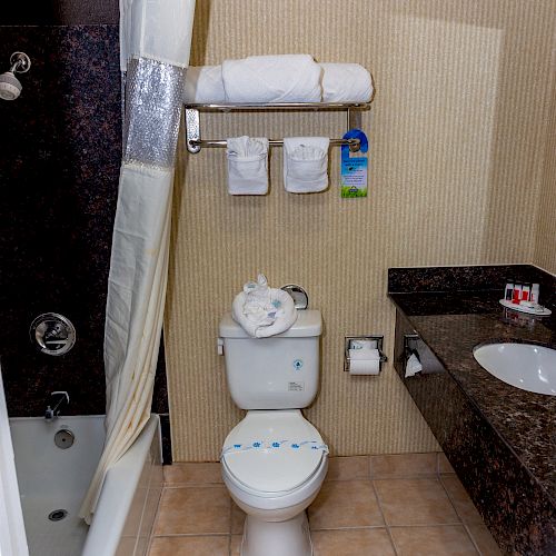 This image shows a bathroom with a toilet, towels on a rack above the toilet, a sink with a countertop, and a shower with a curtain.