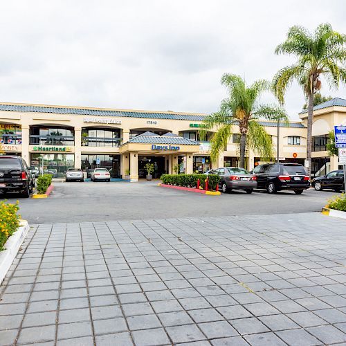 The image shows a parking lot leading to a shopping plaza with multiple stores, palm trees, and parked cars, under a cloudy sky.