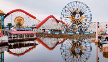 An amusement park with a roller coaster and a large Ferris wheel featuring a character's face, reflected in the water under a cloudy sky.